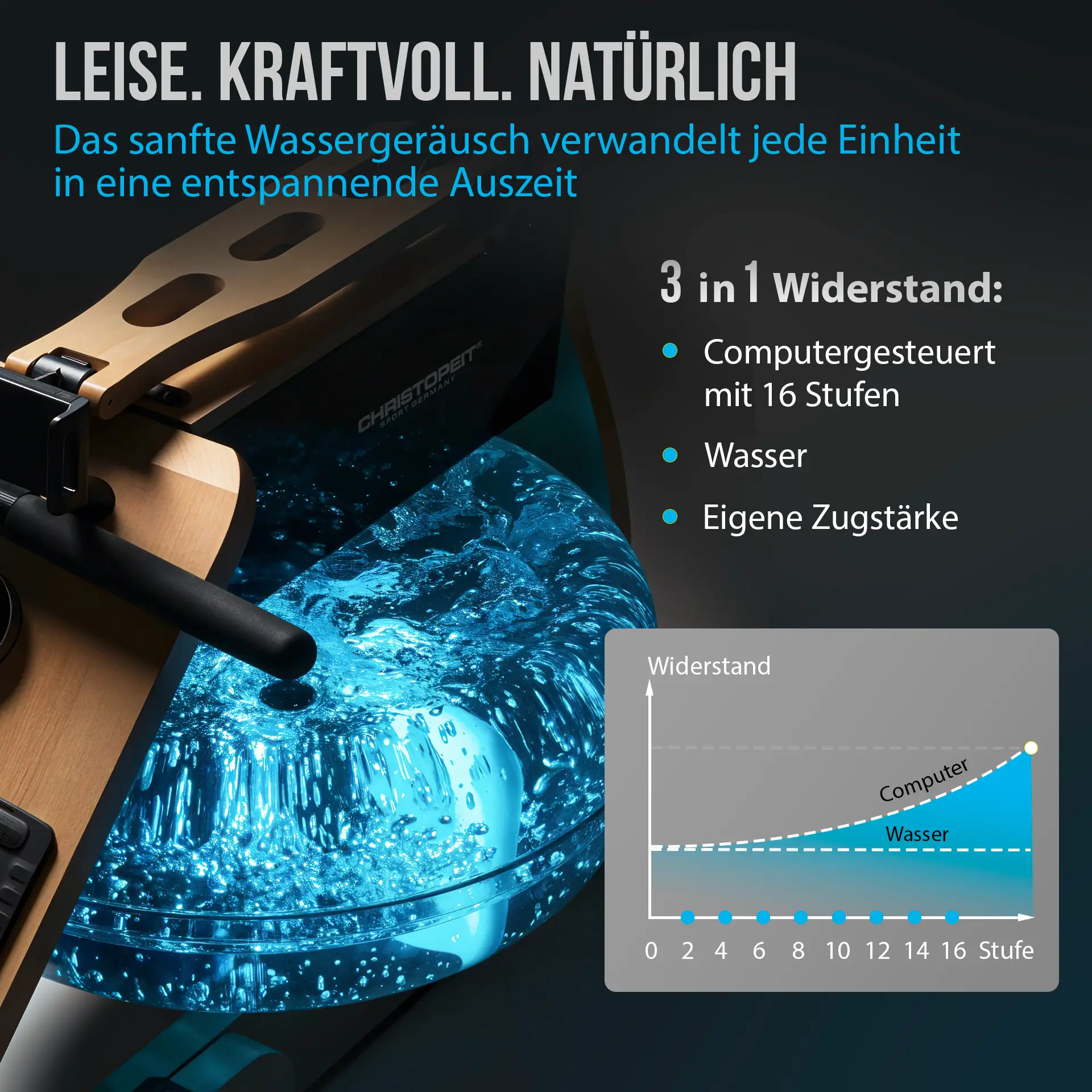 Holz - Wasserrudergerät WP 5000