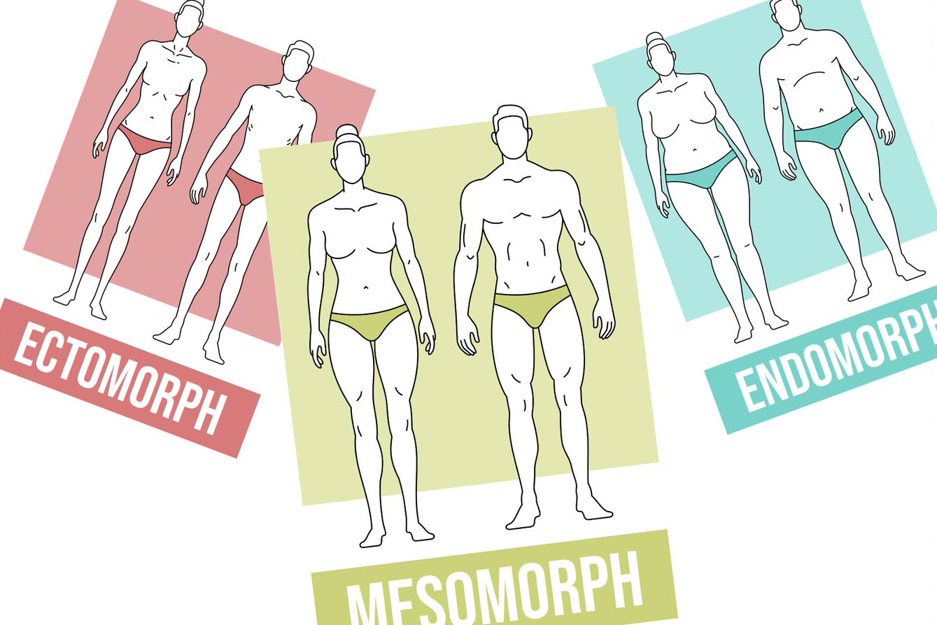 Körpertypen:  Weißt Du welcher Typ Du bist?