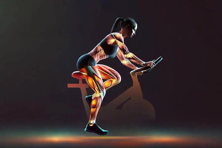 Ergometer ET 6: Beinmuskulatur voll im Focus