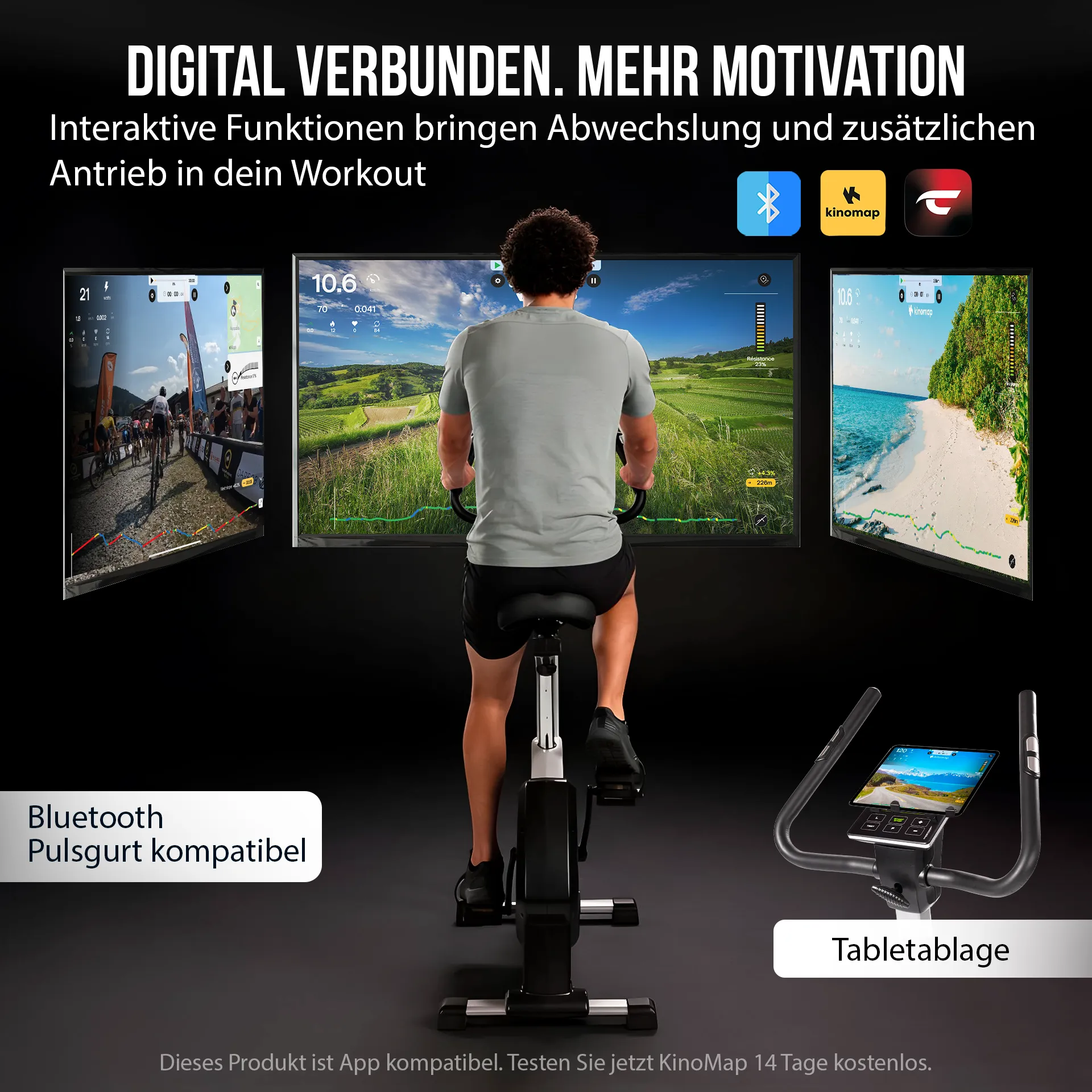 Ergometer ECO 1000
