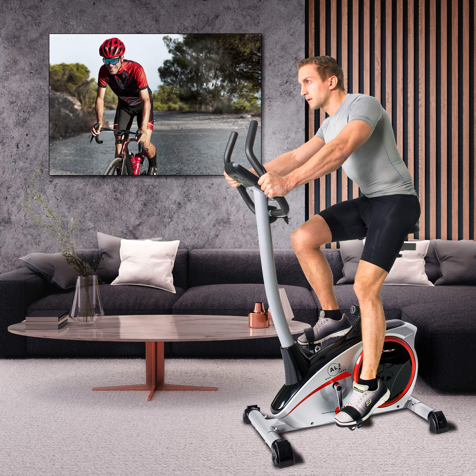 Ergometer AL 2 — Silber Ergometer AL 2 — Silber