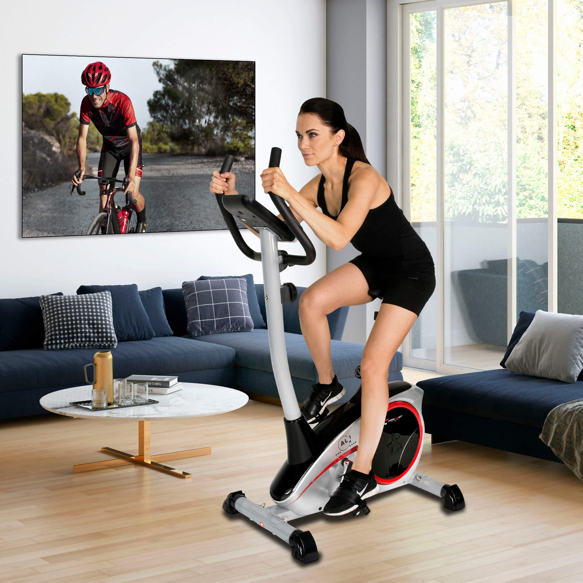 Heimtrainer AL 1 Heimtrainer AL 1