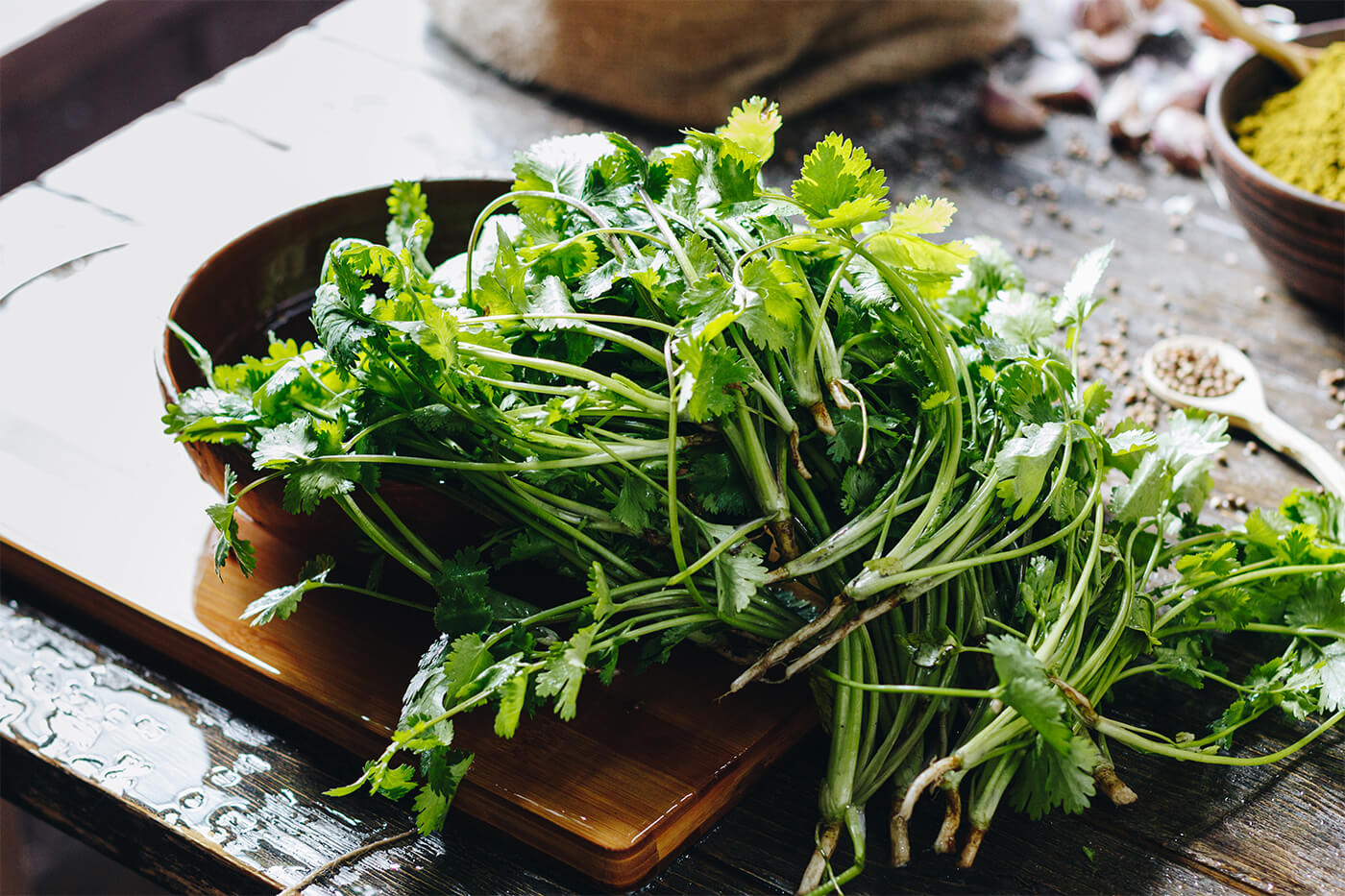 5 Bonnes Raisons d'Adopter le Koriander dans votre Alimentation